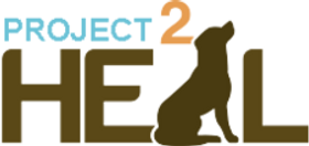 Why We Support Project 2 Heal