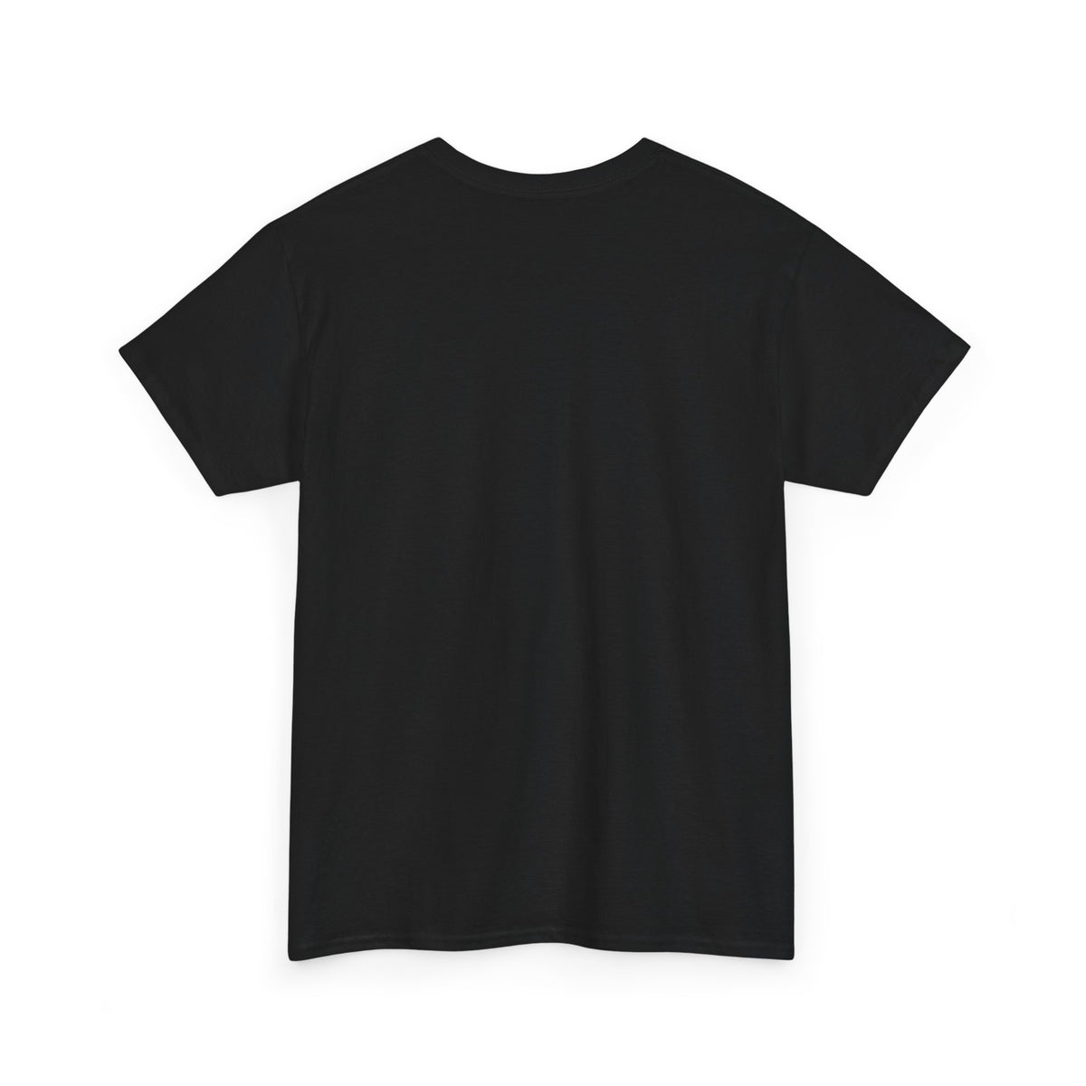 Back view of plain black crewneck t-shirt showing short sleeves and straight hem