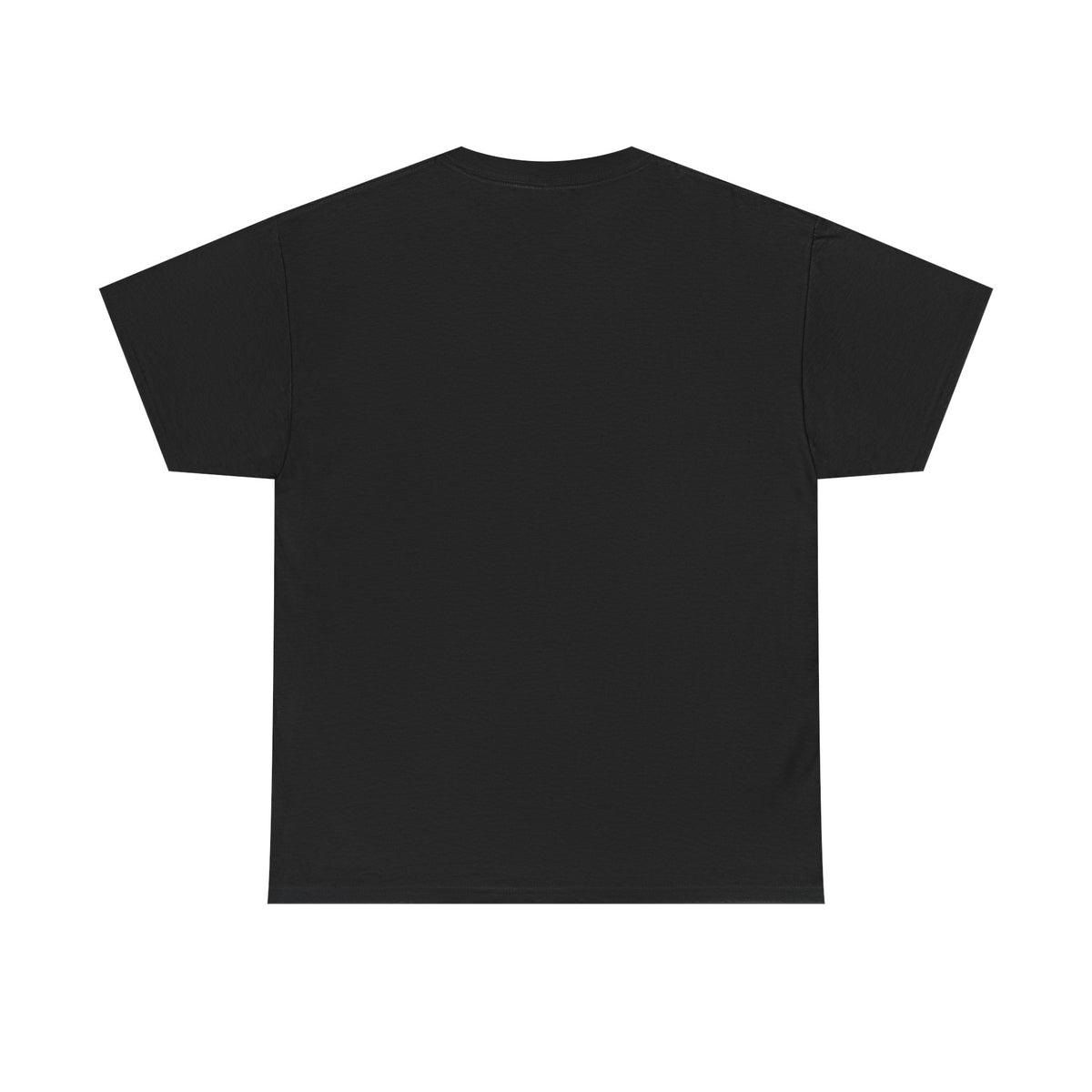 Flat-lay back view of plain black crewneck T-shirt showing upper back and sleeves