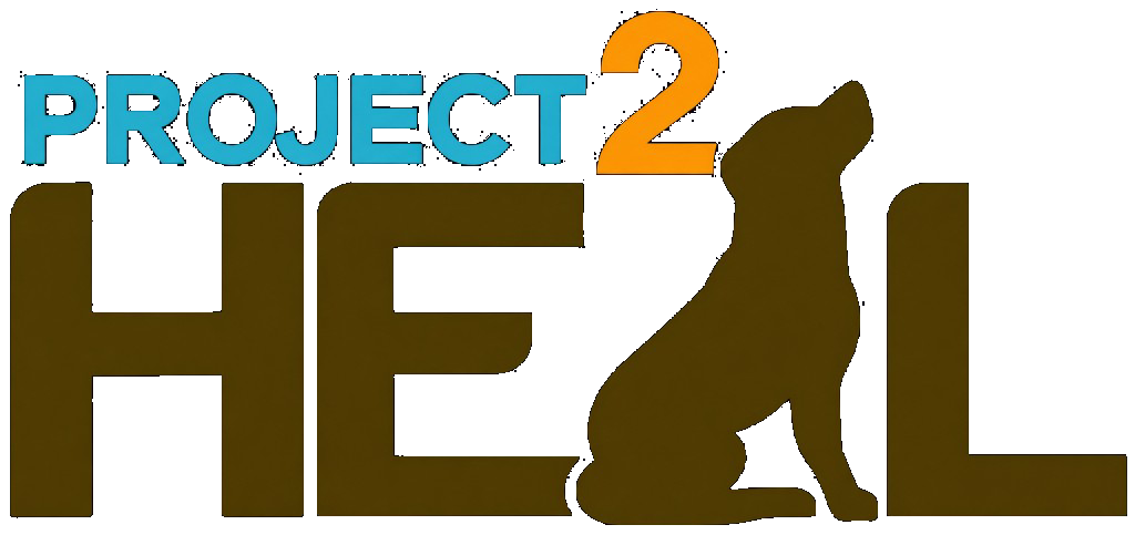 Project 2 Heal